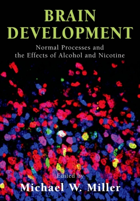 Cover image for book Brain Development