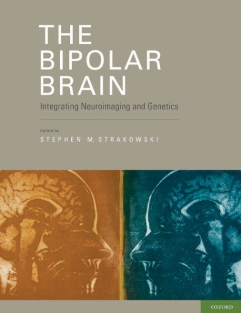 Cover image for book The Bipolar Brain