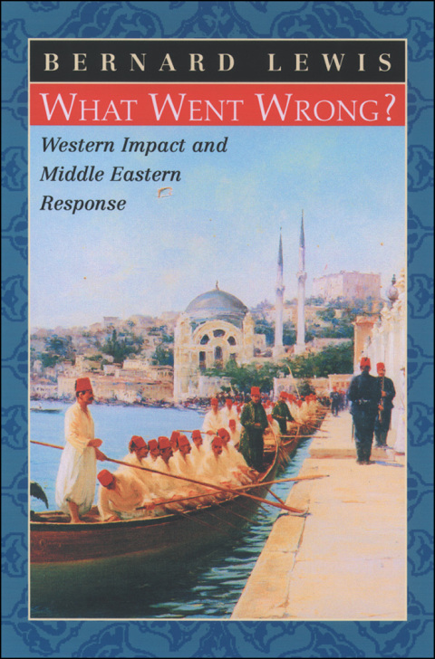 Cover image for book What Went Wrong?