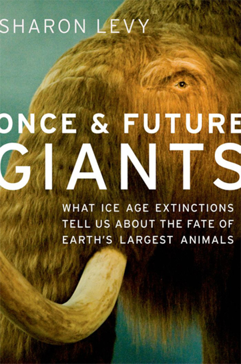 Cover image for book Once and Future Giants