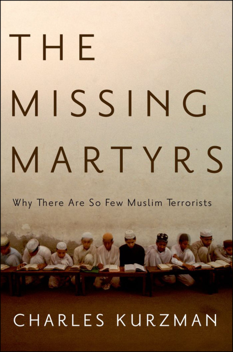 Cover image for book The Missing Martyrs