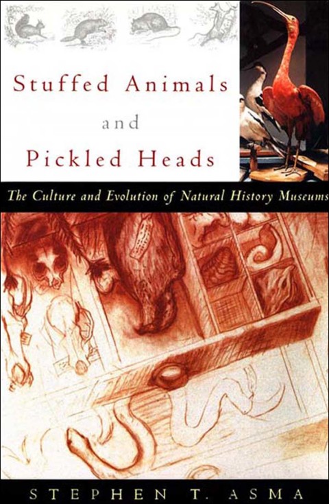 Cover image for book Stuffed Animals and Pickled Heads