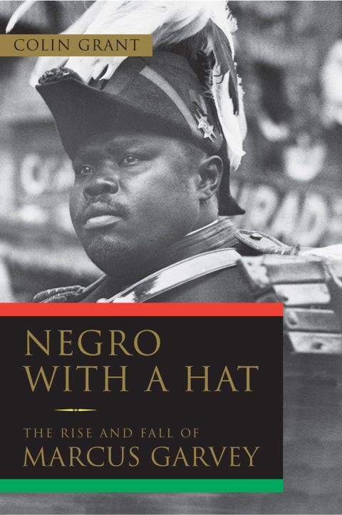 Cover image for book Negro with a Hat
