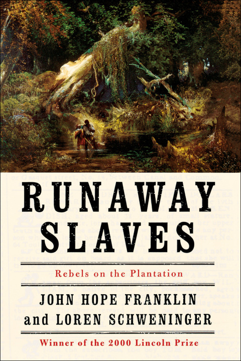 Cover image for book Runaway Slaves