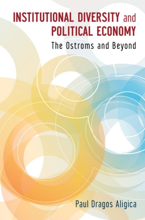 Cover image for book Institutional Diversity and Political Economy