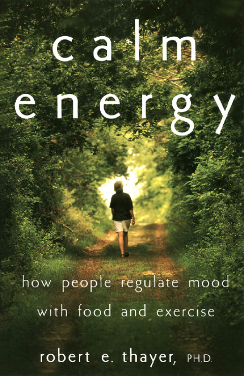 Cover image for book Calm Energy