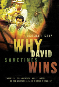 Cover image: Why David Sometimes Wins 9780195162011