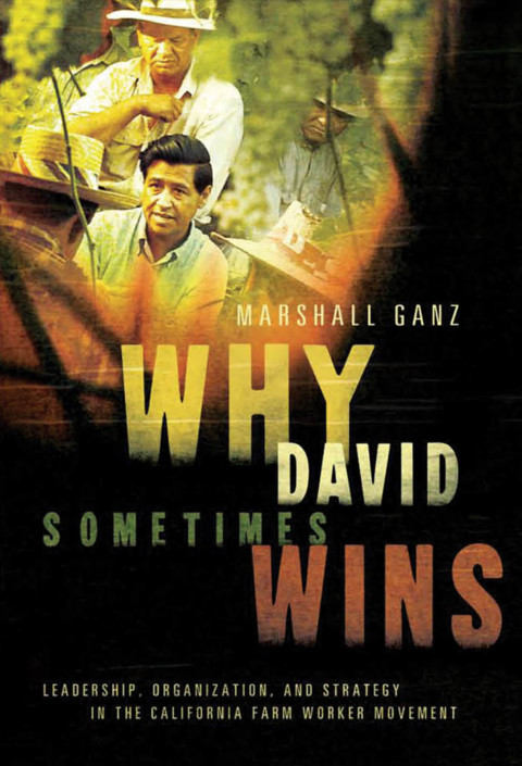Cover image for book Why David Sometimes Wins