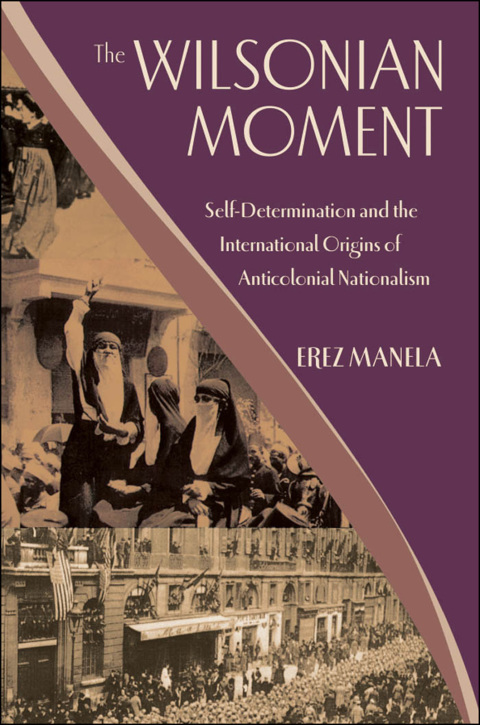 Cover image for book The Wilsonian Moment