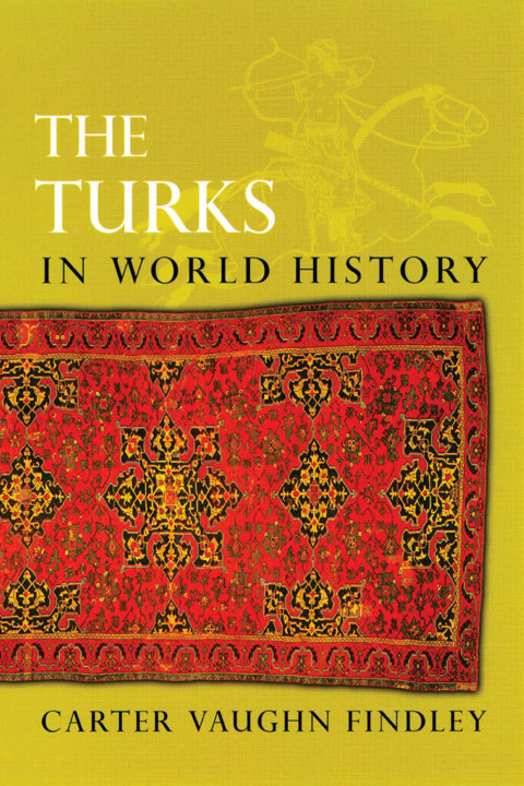 Cover image for book The Turks in World History