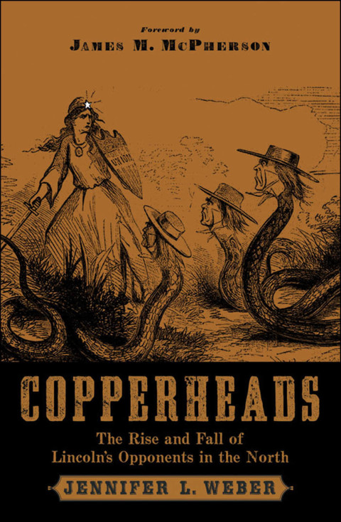 Cover image for book Copperheads