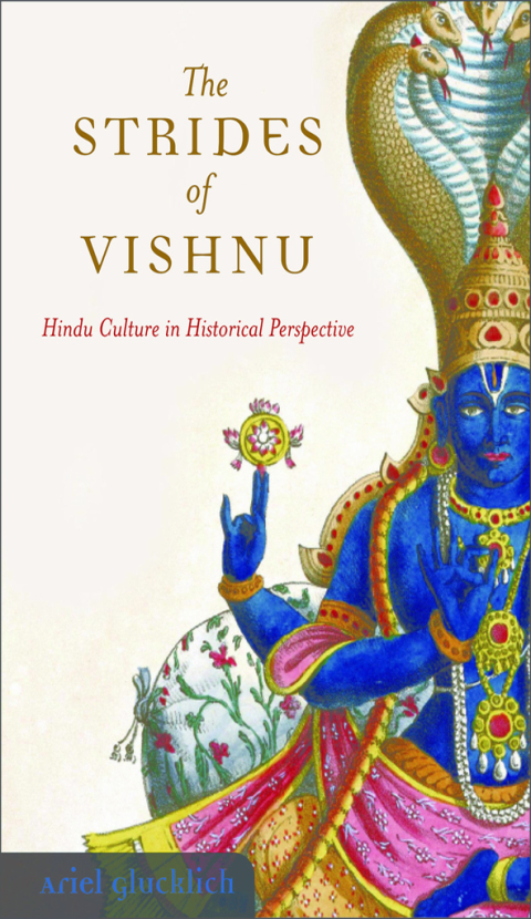 Cover image for book The Strides of Vishnu