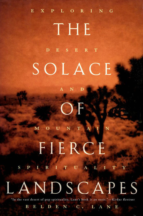 Cover image for book The Solace of Fierce Landscapes