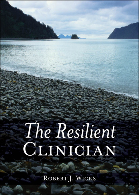 Cover image for book The Resilient Clinician