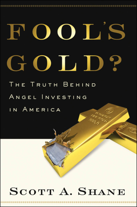 Cover image for book Fool's Gold?