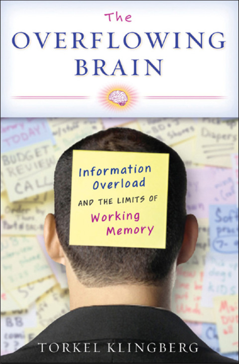 Cover image for book The Overflowing Brain