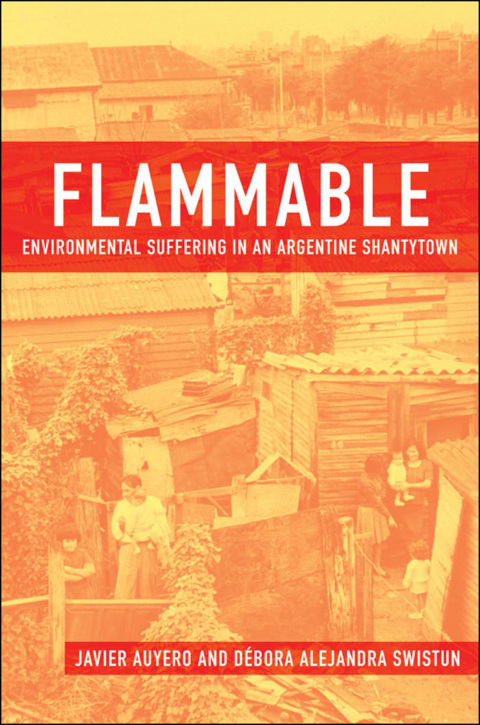 Cover image for book Flammable: Environmental Suffering in an Argentine Shantytown