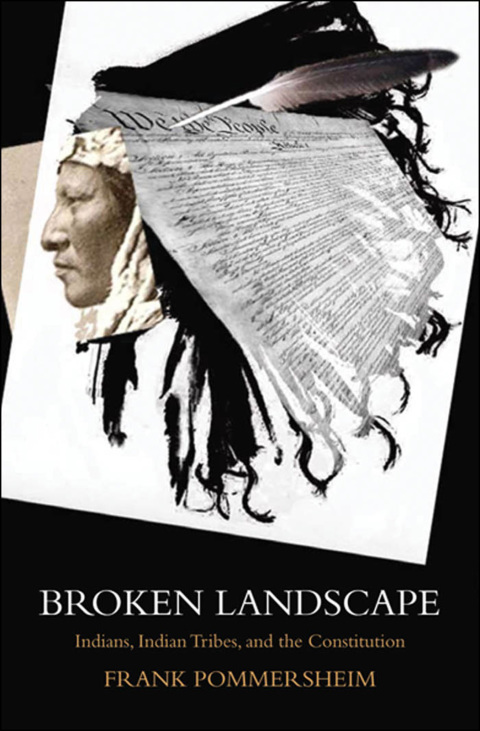 Cover image for book Broken Landscape