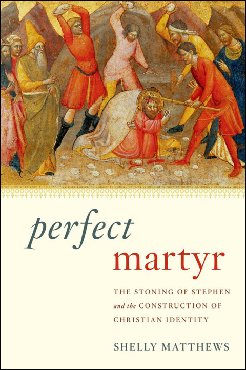 Cover image for book Perfect Martyr