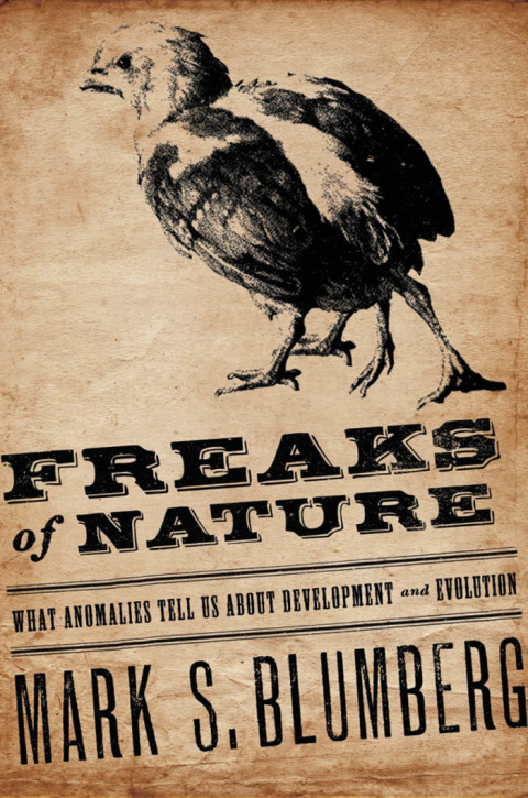Cover image for book Freaks of Nature