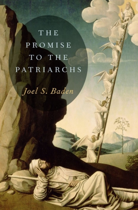 Cover image for book The Promise to the Patriarchs
