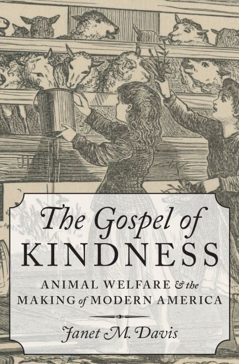 Cover image for book The Gospel of Kindness