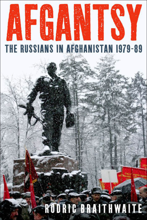 Cover image for book Afgantsy