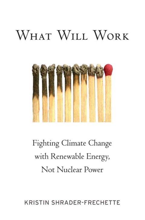 Cover image for book What Will Work
