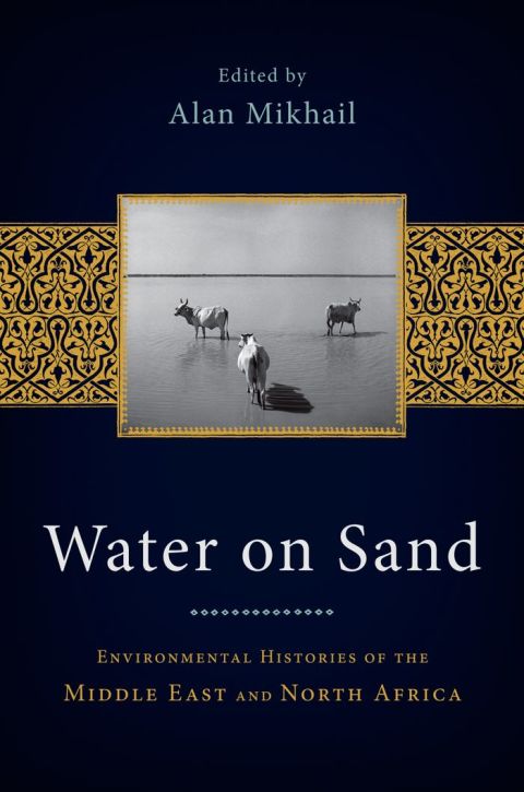Cover image for book Water on Sand