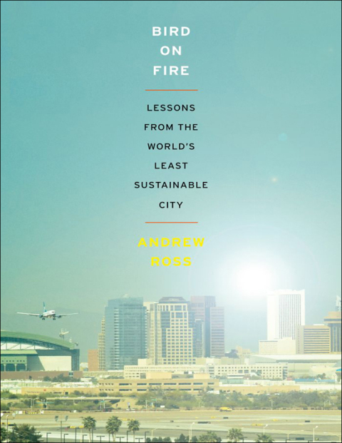 Cover image for book Bird on Fire