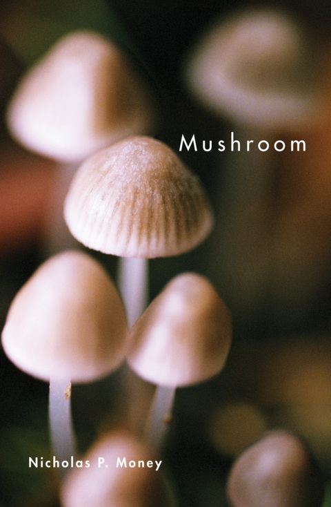 Cover image for book Mushroom
