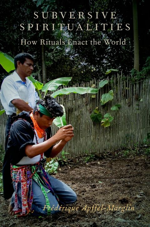 Cover image for book Subversive Spiritualities