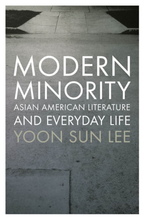 Cover image for book Modern Minority