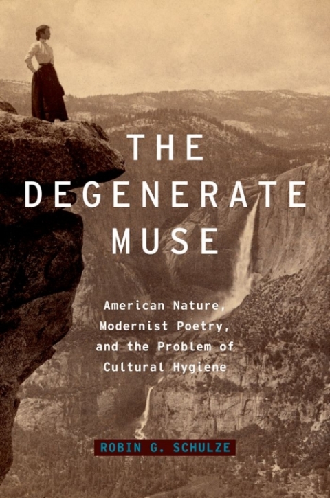 Cover image for book The Degenerate Muse