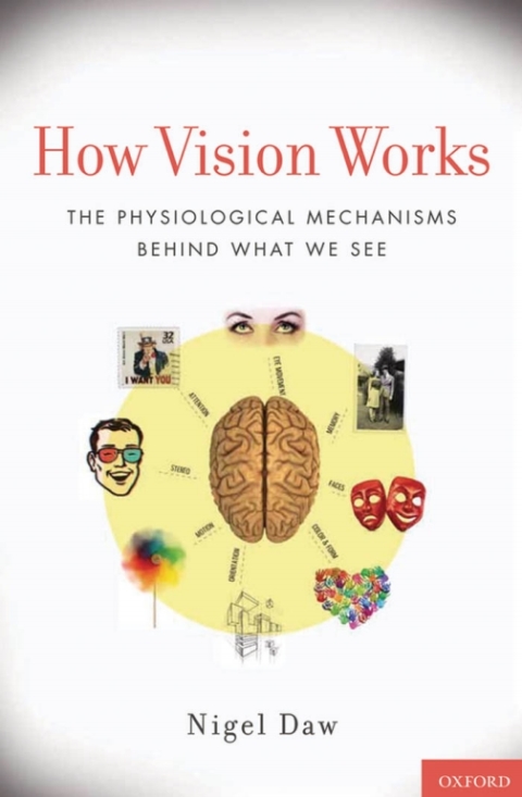 Cover image for book How Vision Works