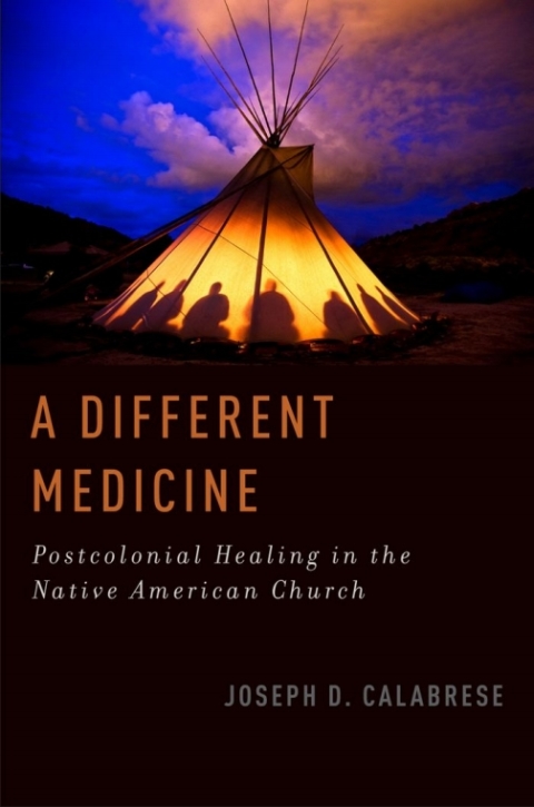Cover image for book A Different Medicine
