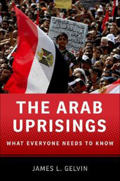 Cover image for book The Arab Uprisings