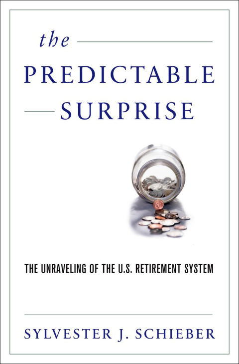 Cover image for book The Predictable Surprise
