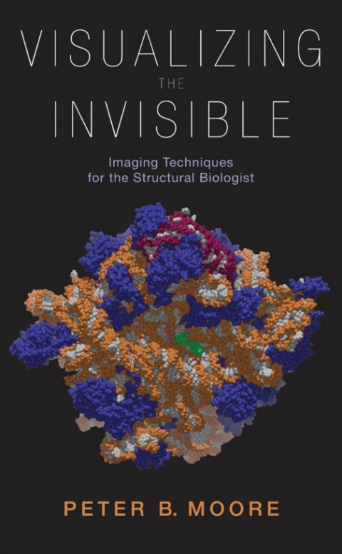Cover image for book Visualizing the Invisible
