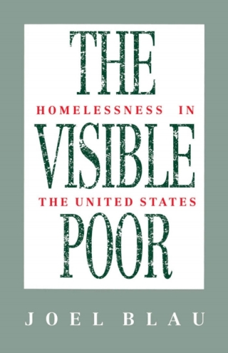 The Visible Poor