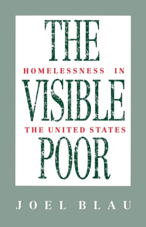 Cover image for book The Visible Poor