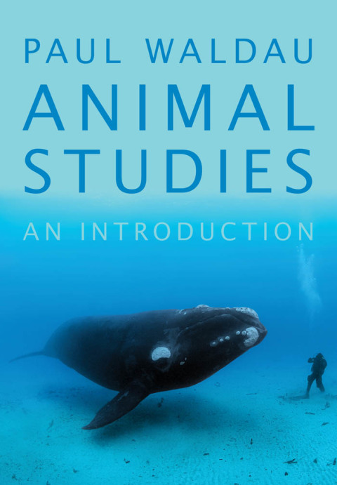 Cover image for book Animal Studies