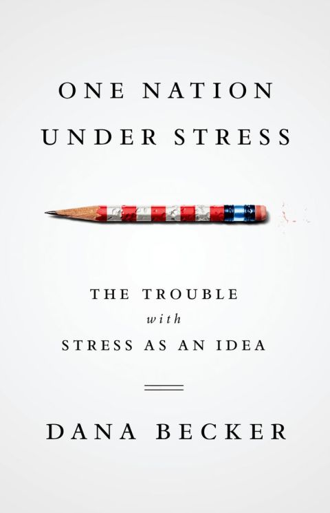 Cover image for book One Nation Under Stress