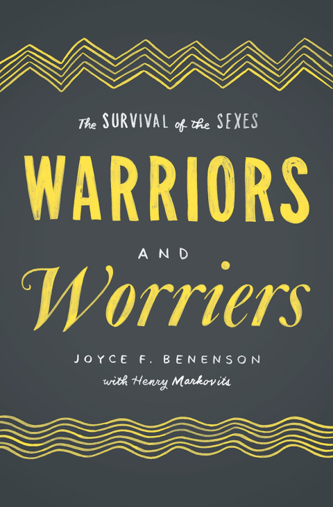 Cover image for book Warriors and Worriers