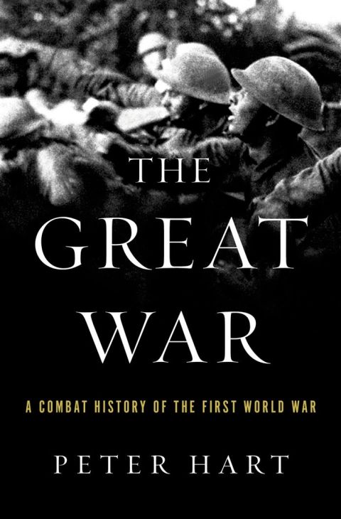 Cover image for book The Great War