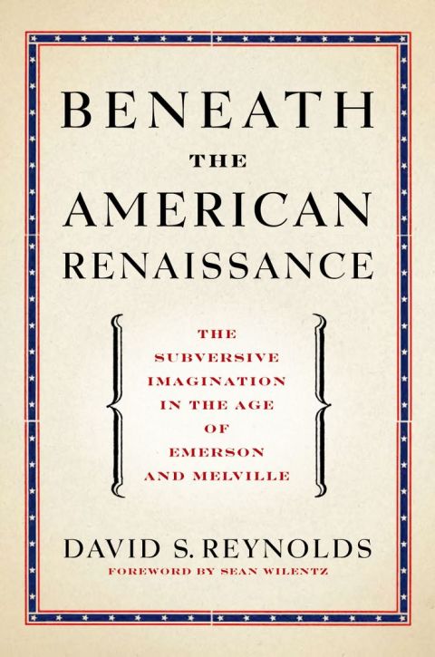 Cover image for book Beneath the American Renaissance