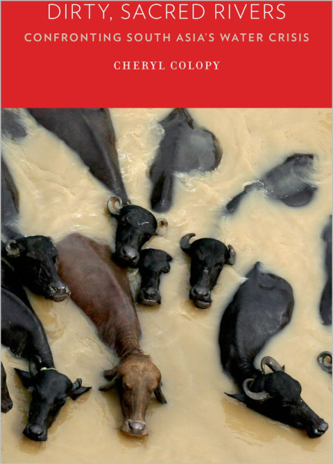 Cover image for book Dirty, Sacred Rivers