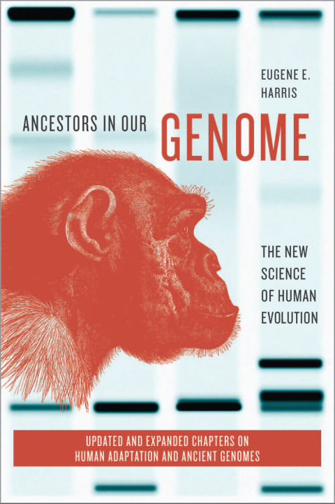 Cover image for book Ancestors in Our Genome