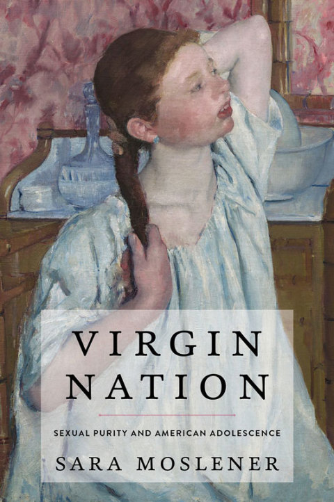 Cover image for book Virgin Nation