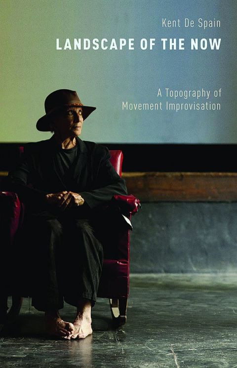 Cover image for book Landscape of the Now